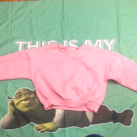 Cropped pink sweater - Picture 1 of 3